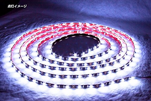 Amazon | ジェット・イノウエ(Jet Inoue) LEDソフトモール 5M 24V専用